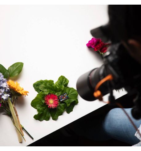 Calibrite ColorChecker Classic Nano | CCC-NANO