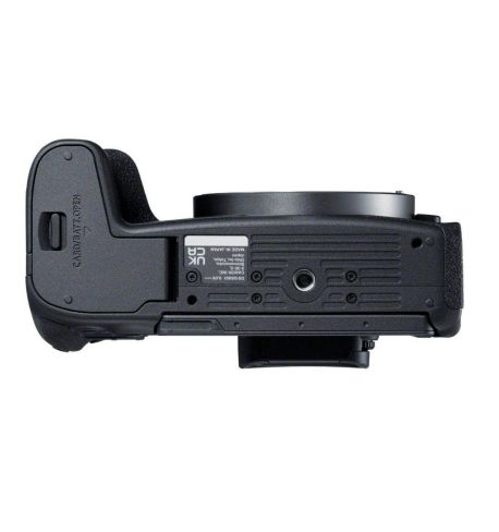 CANON  EOS R8 + RF 24-50mm F4.5-6.3 IS STM 5803C013AA