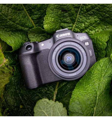 CANON  EOS R8 (cuerpo) 5803C003AA  **Reserva de producto**