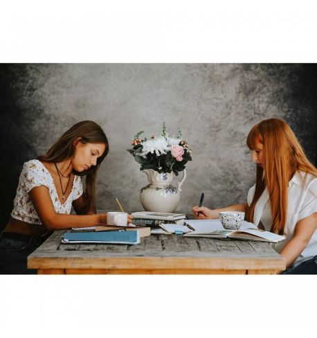 Lastolite by Manfrotto EzyFrame cubierta para fondo Vintage 2 x 2,3m (6'7" x 7'5") Smoke - humo