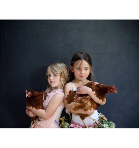 Lastolite by Manfrotto Fondo plegable Vintage 1,5m x 2,1m (5' x 7') Walnut (nuez)/Pewtar (peltre)