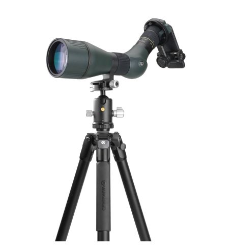 Vanguard Veo 3 303AB