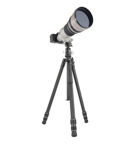 Vanguard Veo 3 303CB