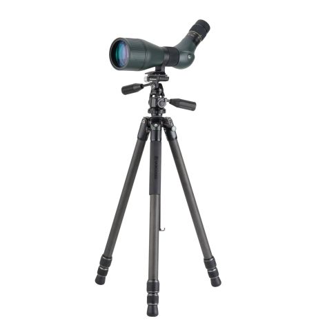 Vanguard Veo 3 303CPS