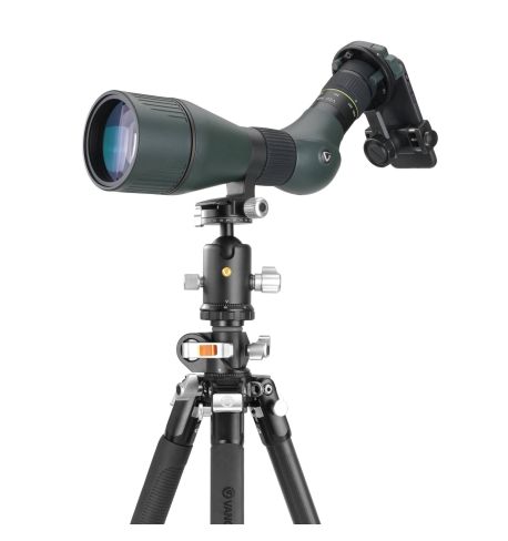 Vanguard Veo 3+ 303CBS